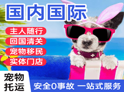 格尔木空运公司国际宠物托运 【国